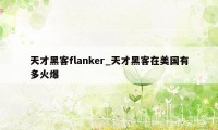 天才黑客flanker_天才黑客在美国有多火爆