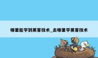 哪里能学到黑客技术_去哪里学黑客技术