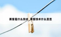 黑客是什么技术_黑客技术什么意思