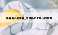 黑客最小的黑客_中国历史上最小的黑客