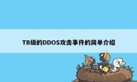 TB级的DDOS攻击事件的简单介绍