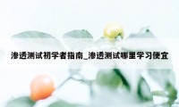 渗透测试初学者指南_渗透测试哪里学习便宜