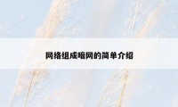 网络组成暗网的简单介绍