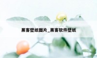 黑客壁纸图片_黑客软件壁纸