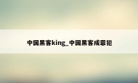 中国黑客king_中国黑客成罪犯