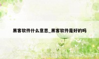 黑客软件什么意思_黑客软件是好的吗