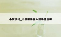 小度侵犯_小度被黑客入侵事件后续