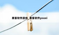 黑客软件游戏_黑客软件youxi