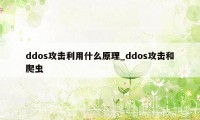 ddos攻击利用什么原理_ddos攻击和爬虫