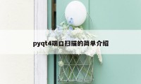 pyqt4端口扫描的简单介绍