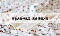 黑客入侵什么罪_黑客随便入侵