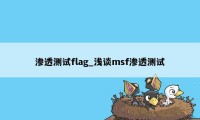 渗透测试flag_浅谈msf渗透测试