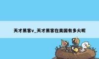 天才黑客v_天才黑客在美国有多火呢