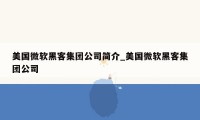 美国微软黑客集团公司简介_美国微软黑客集团公司