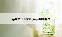 ip攻击什么意思_iapp网络攻击