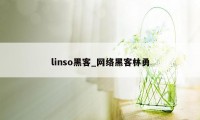 linso黑客_网络黑客林勇