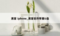 黑客 iphone_黑客软件苹果U盘