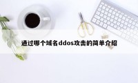 通过哪个域名ddos攻击的简单介绍