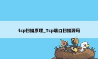 tcp扫描原理_Tcp端口扫描源码