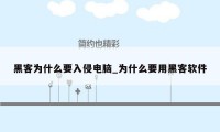 黑客为什么要入侵电脑_为什么要用黑客软件