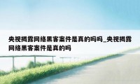 央视揭露网络黑客案件是真的吗吗_央视揭露网络黑客案件是真的吗