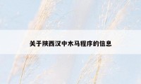 关于陕西汉中木马程序的信息