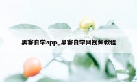 黑客自学app_黑客自学网视频教程