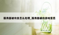 服务器被攻击怎么处理_服务器被攻击啥意思