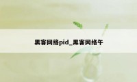 黑客网络pid_黑客网络午