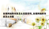 自建网站防攻击怎么设置密码_自建网站防攻击怎么设置