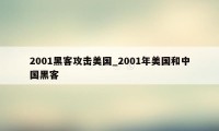 2001黑客攻击美国_2001年美国和中国黑客