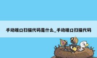 手动端口扫描代码是什么_手动端口扫描代码