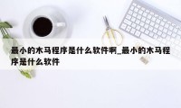 最小的木马程序是什么软件啊_最小的木马程序是什么软件