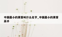 中国最小的黑客叫什么名字_中国最小的黑客高手