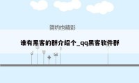 谁有黑客的群介绍个_qq黑客软件群