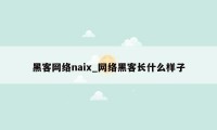 黑客网络naix_网络黑客长什么样子