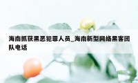 海南抓获黑恶犯罪人员_海南新型网络黑客团队电话