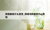 网络静态什么意思_网络攻防静态flag类型