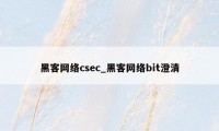 黑客网络csec_黑客网络bit澄清