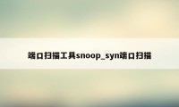 端口扫描工具snoop_syn端口扫描