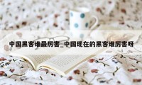 中国黑客谁最厉害_中国现在的黑客谁厉害呀