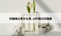 扫描端口有什么用_wifi端口扫描器