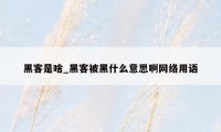 黑客是啥_黑客被黑什么意思啊网络用语