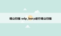 端口扫描 udp_burp进行端口扫描