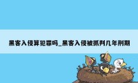 黑客入侵算犯罪吗_黑客入侵被抓判几年刑期