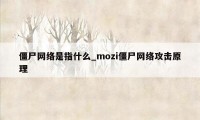 僵尸网络是指什么_mozi僵尸网络攻击原理